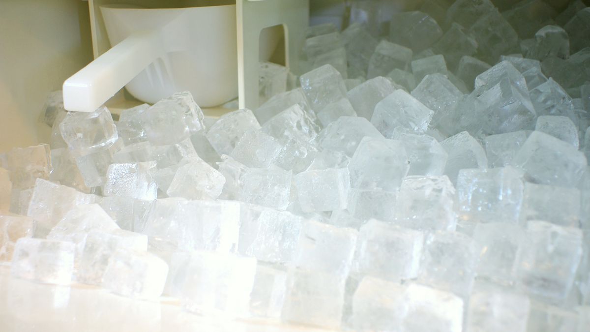 How to Clean a Portable Ice Maker in 7 Easy Steps